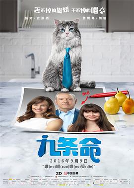 96精品专区国产在线观看高清