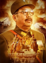 国产精品入口麻豆高清